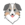 Australian Safe Shepherd