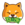 Baby Doge Cash