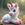 BabyUnicorn