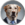 Big Dog Fink