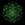 Bio Acceleration