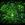 Biotech Accelerationism