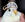 birb