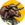 Bitcoin Bull