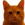 Bitcoin Cat