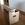 Boxed Cat