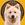 Buddy - The First Crypto Dog