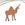Camelcorn