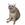 Cash Cat