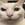 catty