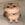 ChatGPT Cat