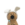 coby