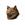 Copper (inu)