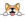 Corgidoge