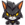 daCat