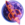 DAN