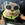 Degen the Otter