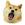 Doge Eat Doge