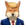 DT Inu