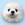 Durovs Dog