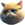 FAT CAT