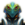 FlexMeme
