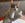 FlipCat