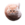 Flying Spinning Cat