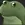 Froge