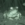 frong