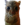 Gakster