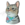 Ginnan