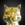 Golden Kitty