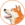 Hachi