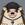 Haha Yes Hedgehog