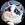 Huhu Cat