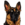 Hund