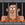 Jeetjail