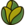 Kalijo