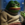 Kekius Maximus