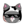 KitCoin