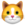 KittenFinance