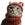 Kittywifhat