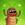 KoKoK The Roach