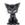Leia the Cat