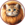 Lion Cat
