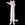 LongCat