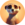 Memeerkat