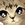 MEOW