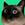 merv the cat